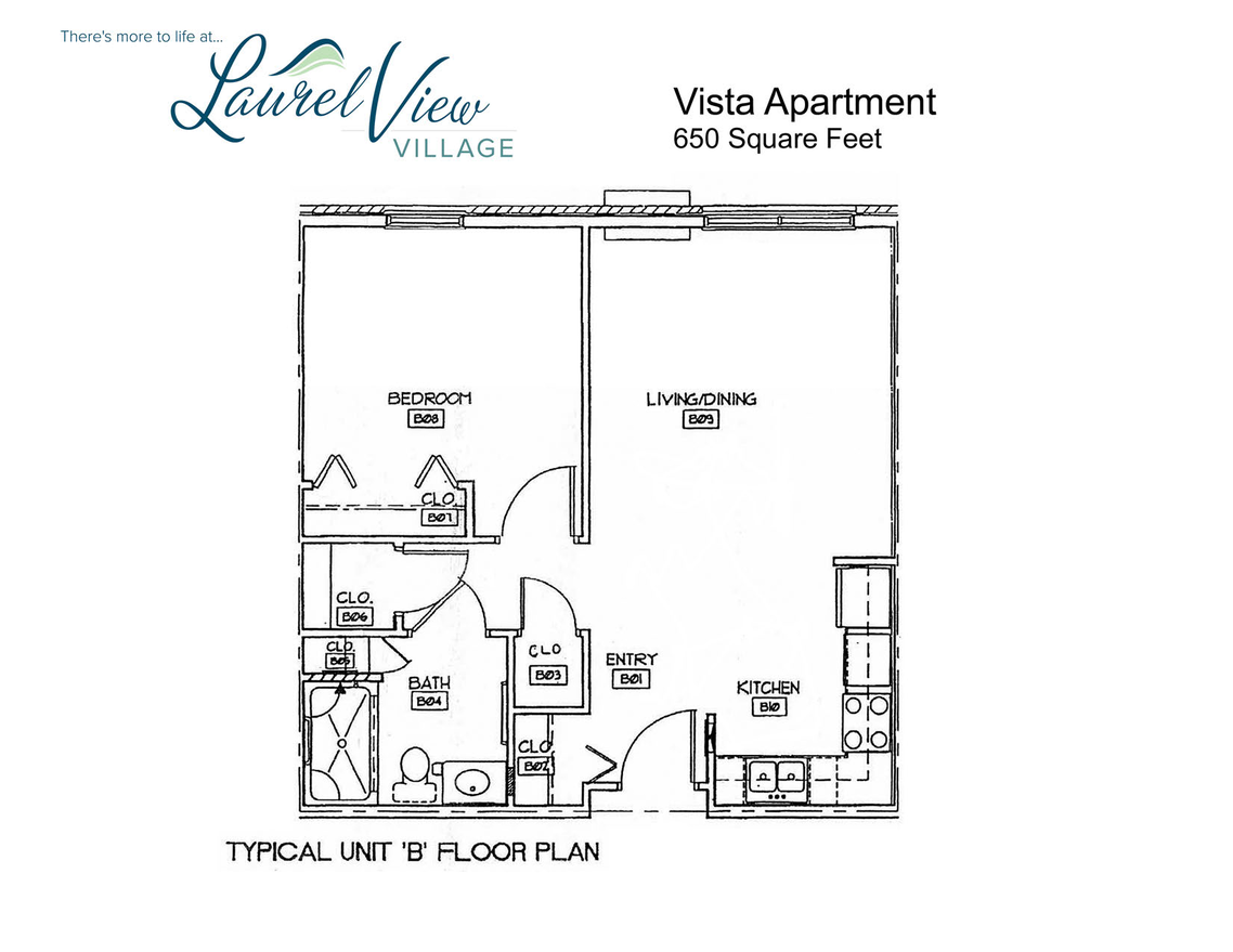 Laurel View Village Senior Living Community Assisted Living, Nursing